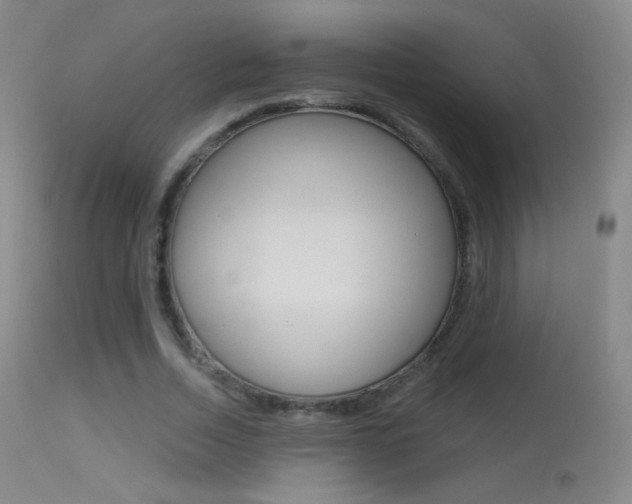 X0000113610730200909181051