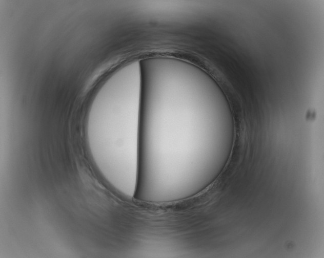 X0000113610731200909181051