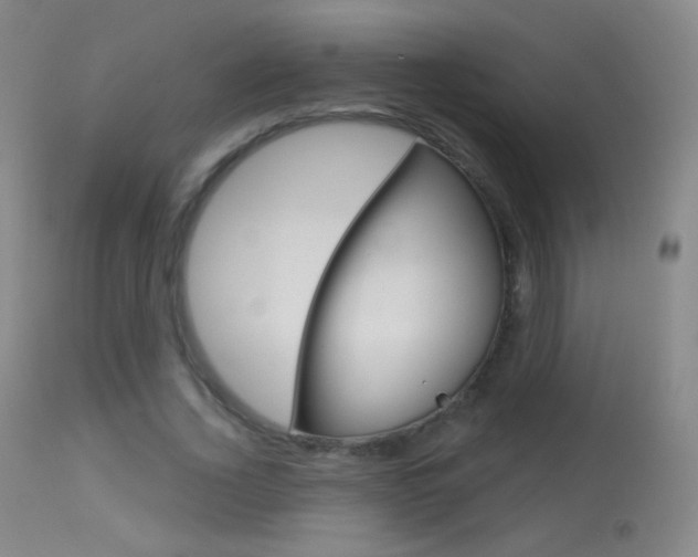 X0000113610732200909181051