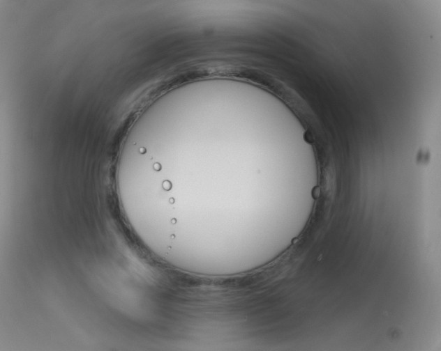 X0000113610733200909181051