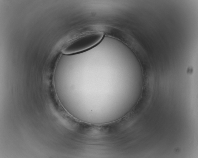 X0000113610736200909181051