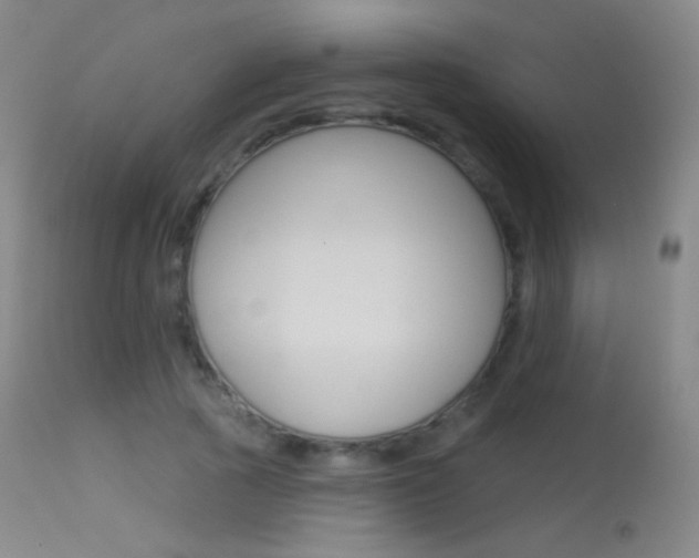 X0000113610737200909181051