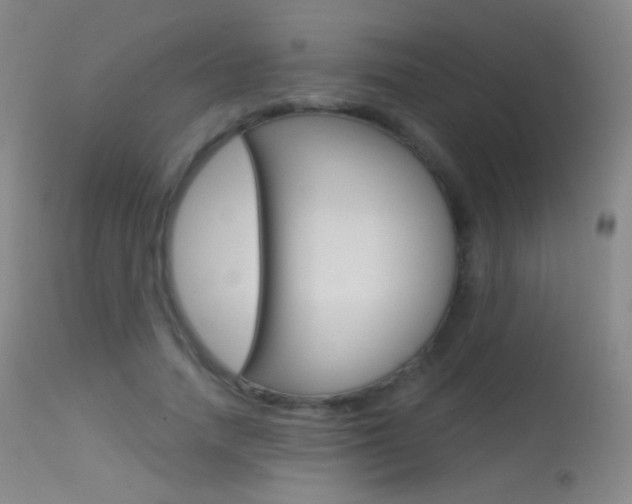 X0000113610738200909181051