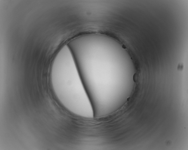 X0000113610739200909181051