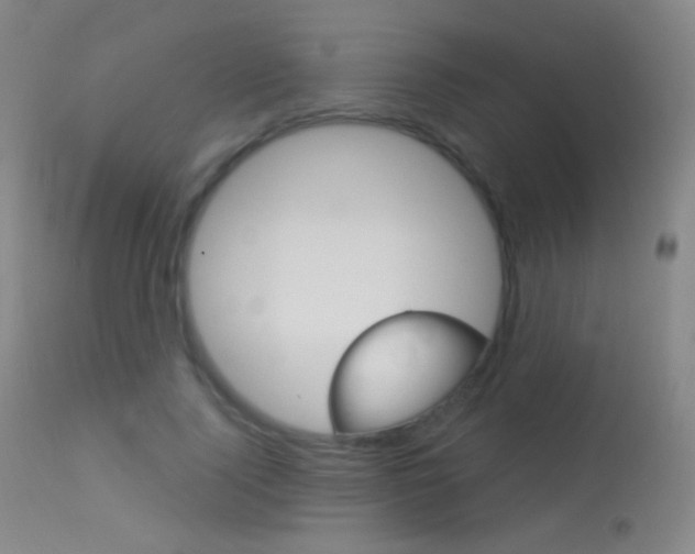 X0000113610740200909181051