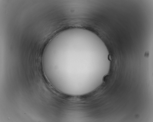 X0000113610747200909181051