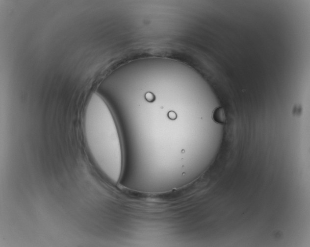 X0000113610748200909181051