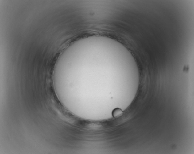 X0000113610749200909181051