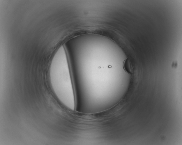 X0000113610750200909181051