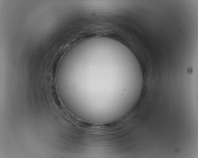 X0000113610752200909181051