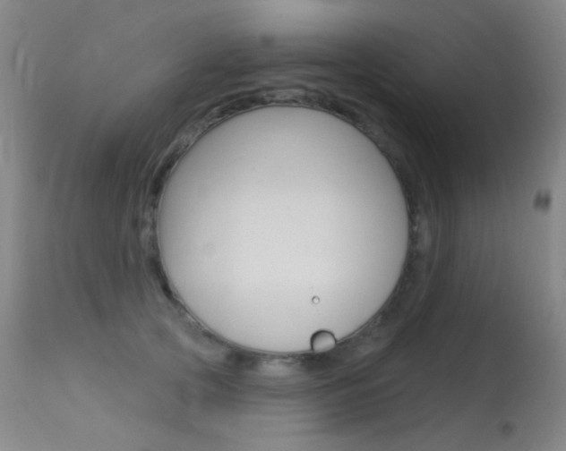 X0000113610753200909181051