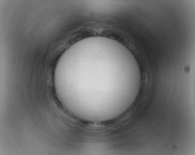 X0000113610754200909181051