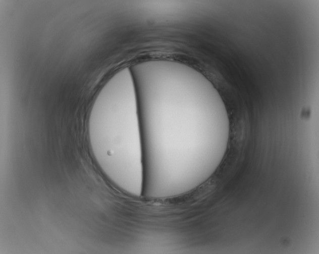X0000113610755200909181051