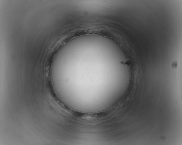 X0000113610756200909181051