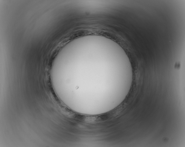 X0000113610757200909181051