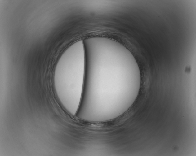 X0000113610758200909181051