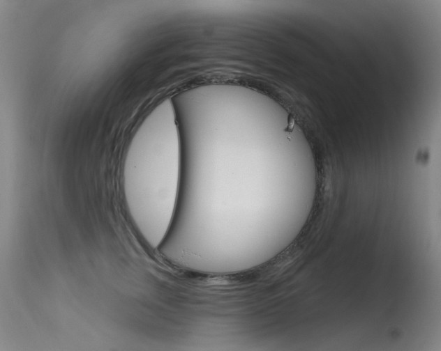 X0000113610759200909181051
