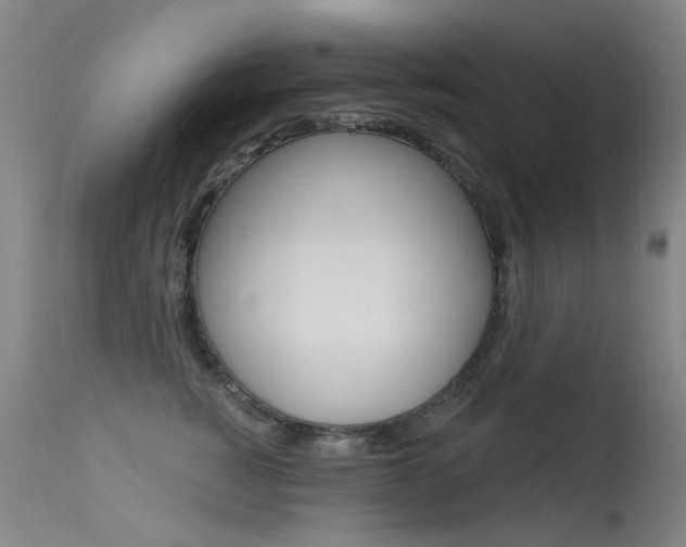 X0000113610760200909181051