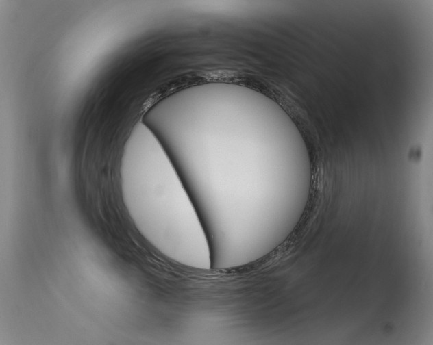 X0000113610763200909181051
