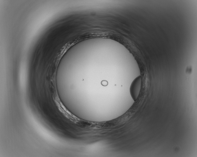 X0000113610764200909181051