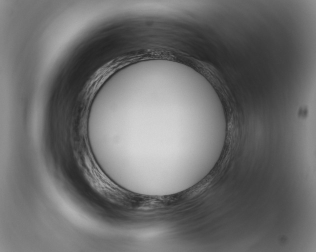 X0000113610765200909181051