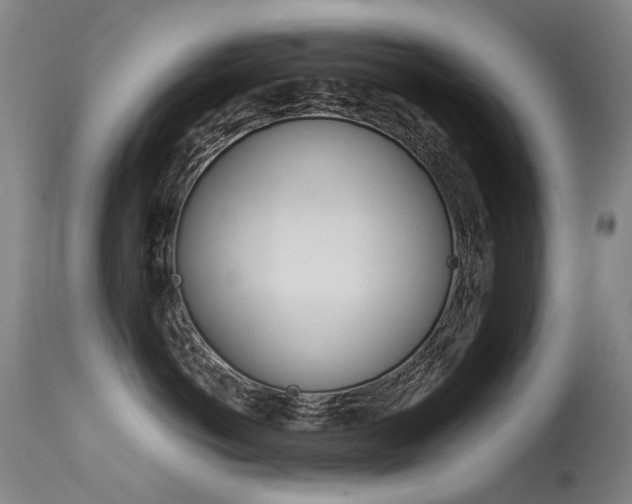 X0000113610766200909181051