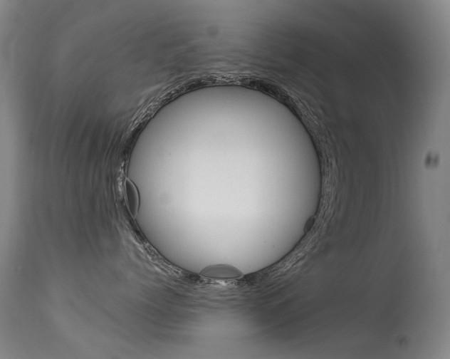 X0000113610768200909181051