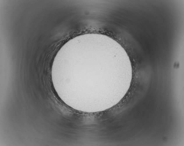 X0000113610769200909181051