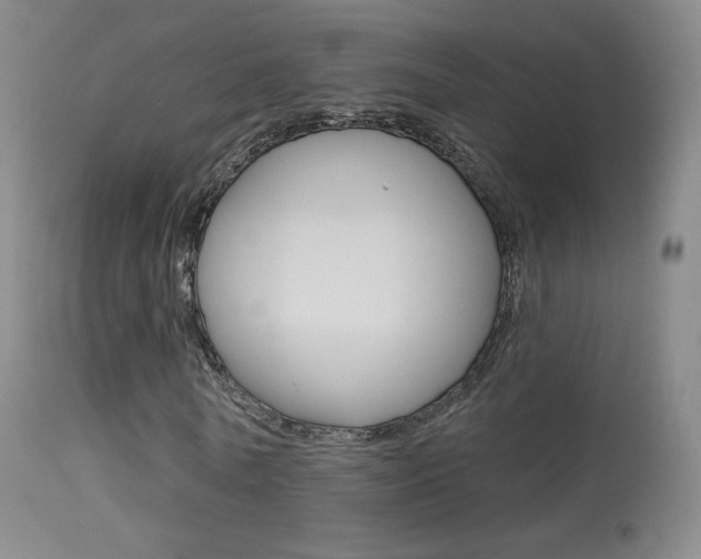 X0000113610770200909181051