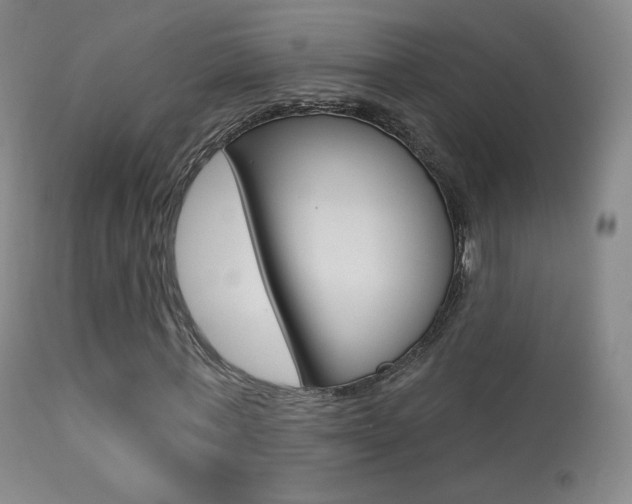 X0000113610771200909181051