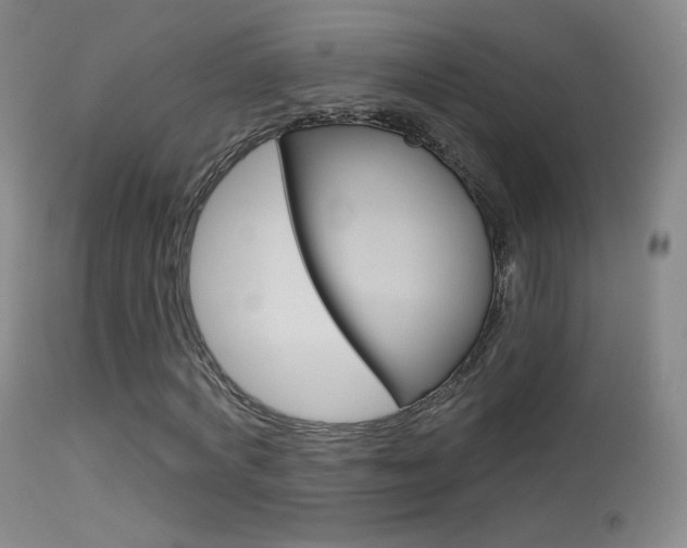 X0000113610772200909181051