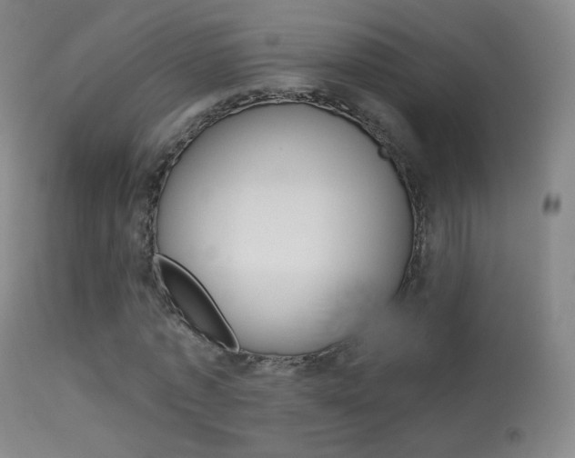 X0000113610773200909181051