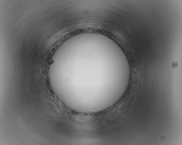 X0000113610774200909181051