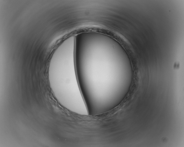 X0000113610775200909181051