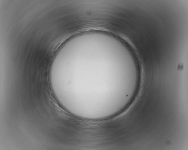 X0000113610777200909181051