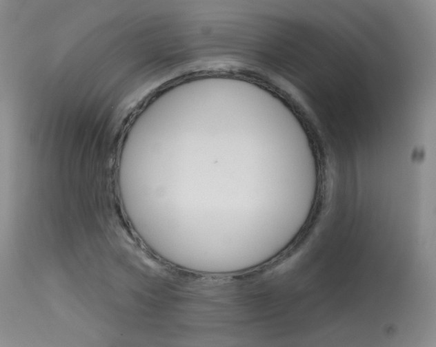 X0000113610778200909181051