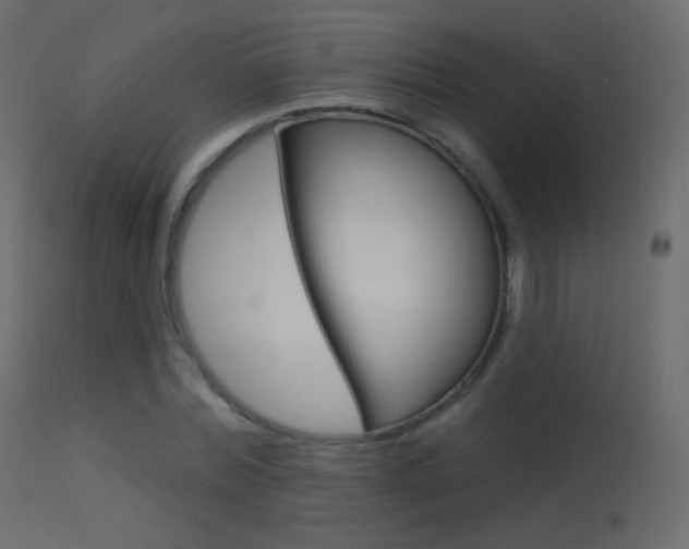X0000113610780200909181051