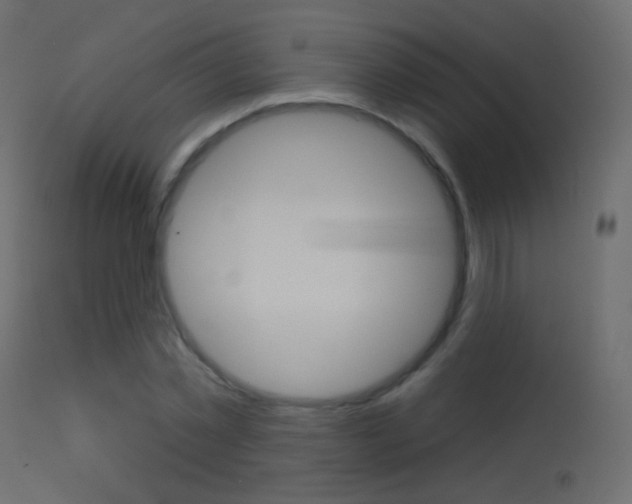 X0000113610781200909181051