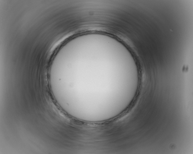 X0000113610782200909181050