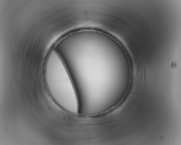 X0000113610783200909181050