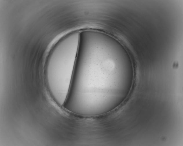 X0000113610784200909181050