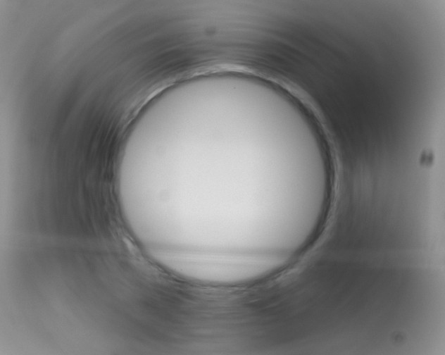 X0000113610785200909181050