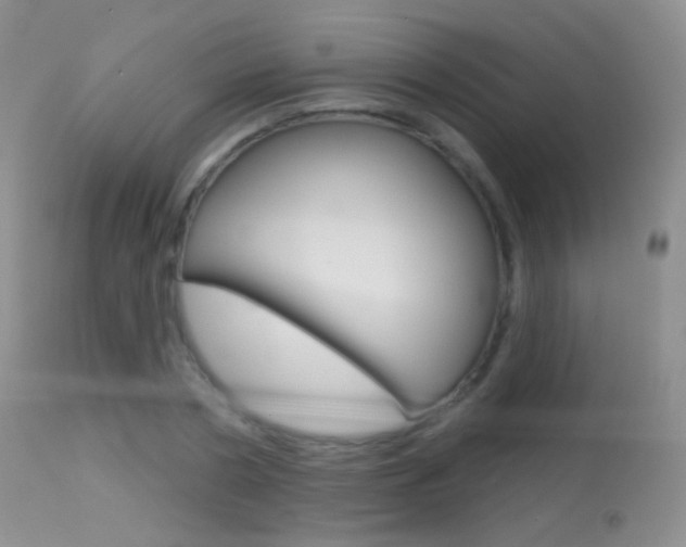 X0000113610786200909181050