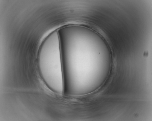 X0000113610787200909181050