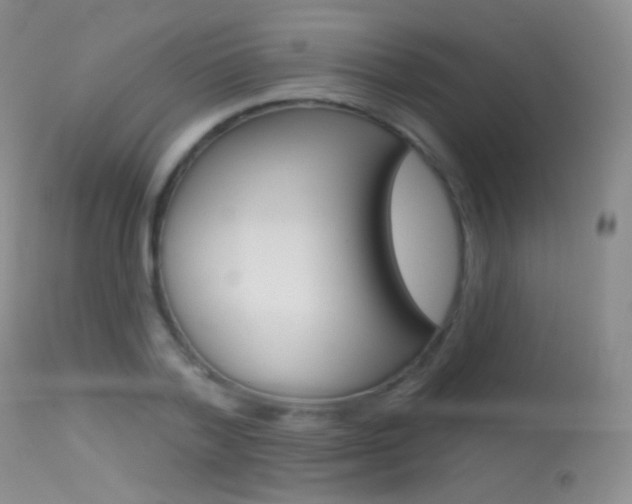 X0000113610788200909181050