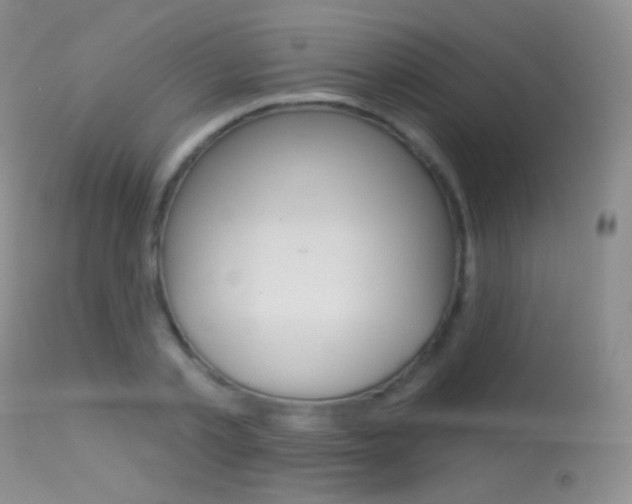 X0000113610789200909181050