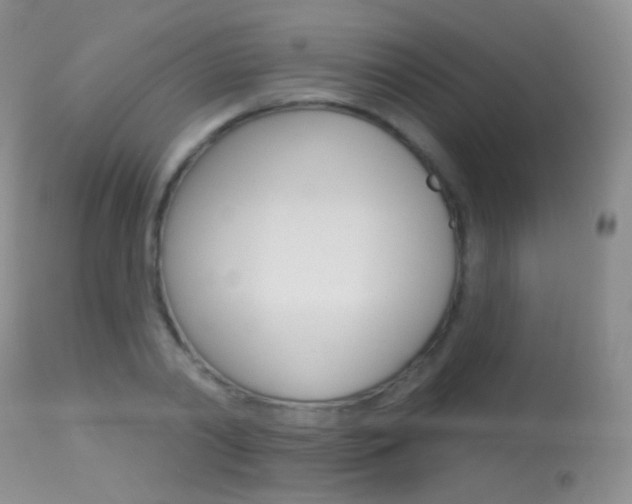 X0000113610790200909181050