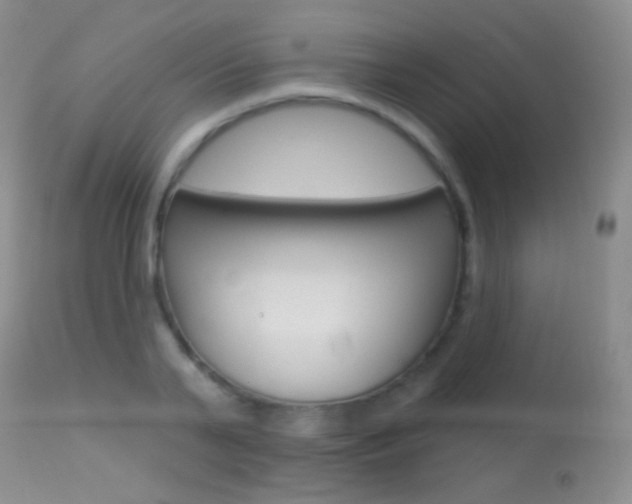X0000113610791200909181050