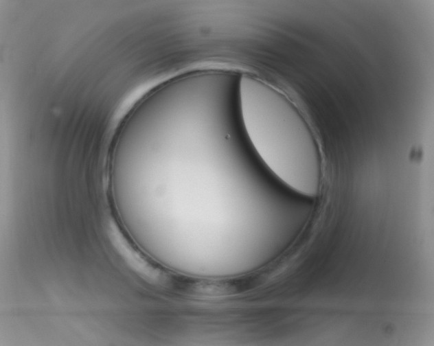 X0000113610795200909181050