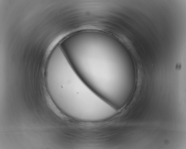 X0000113610796200909181050